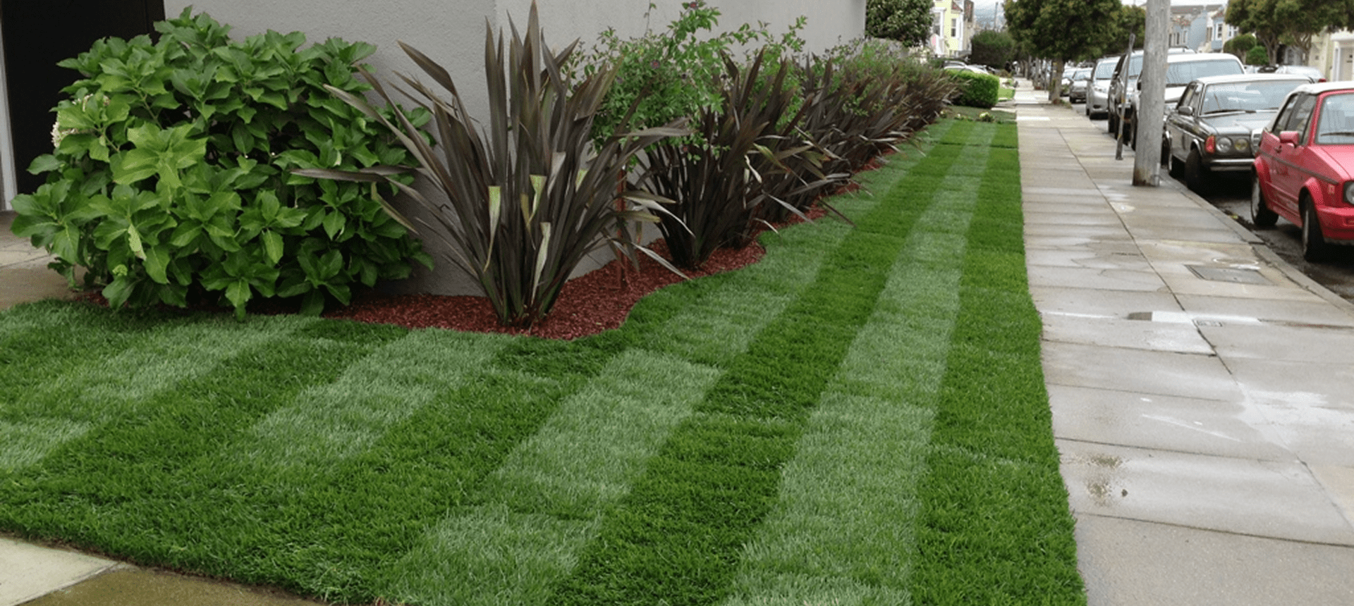 A neatly mowed lawn with alternating light and dark green stripes.