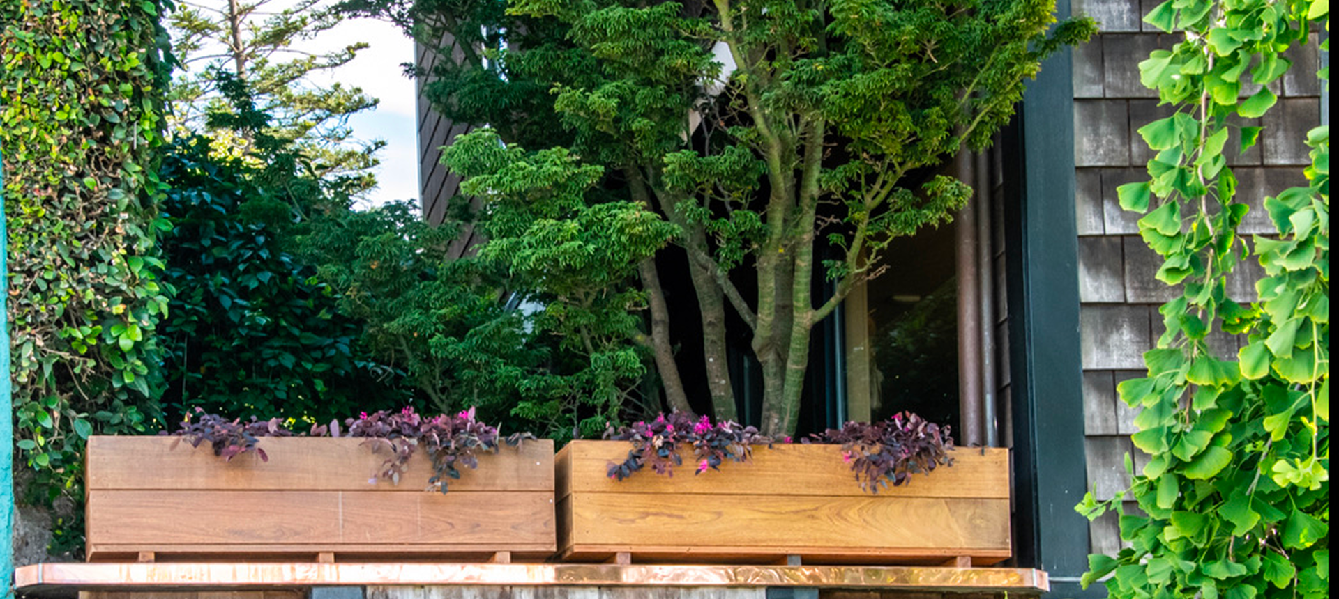 Wooden planters filled with purple flowers and lush green trees behind.